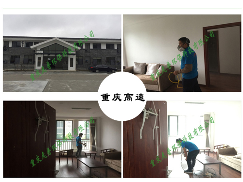 重庆除甲醛公司 重庆除甲醛公司
