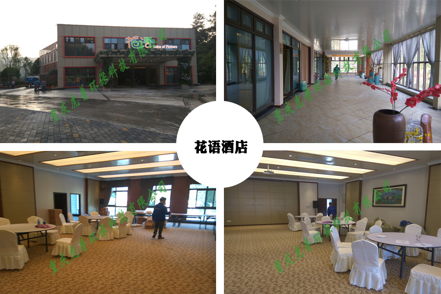 永川除甲醛公司 永川除甲醛公司