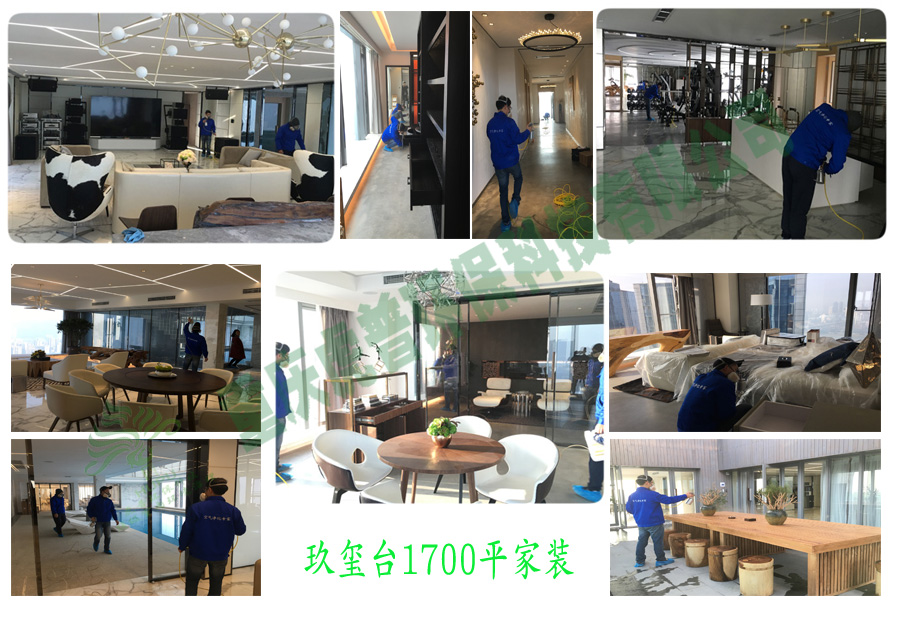 除甲醛公司 除甲醛公司