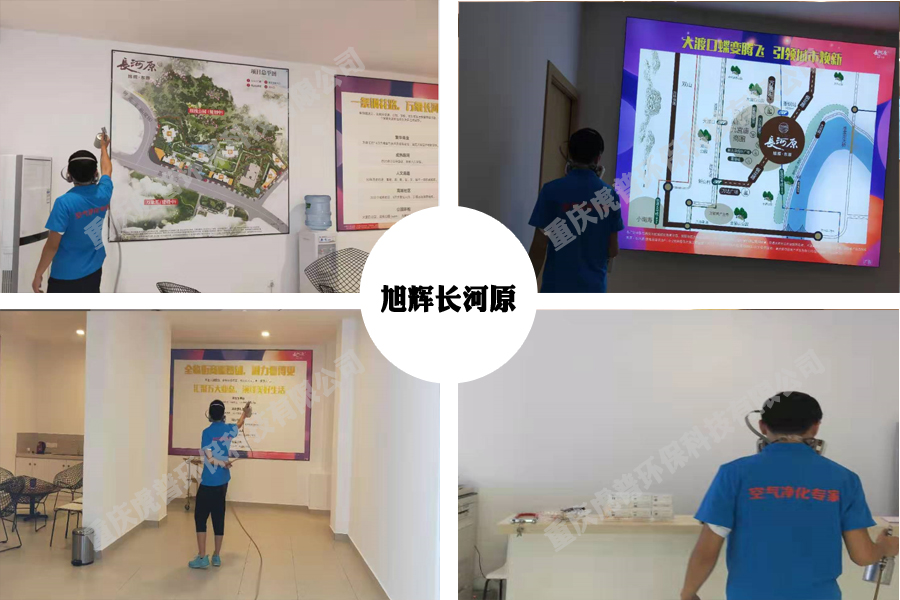 重庆除甲醛公司 重庆除甲醛公司
