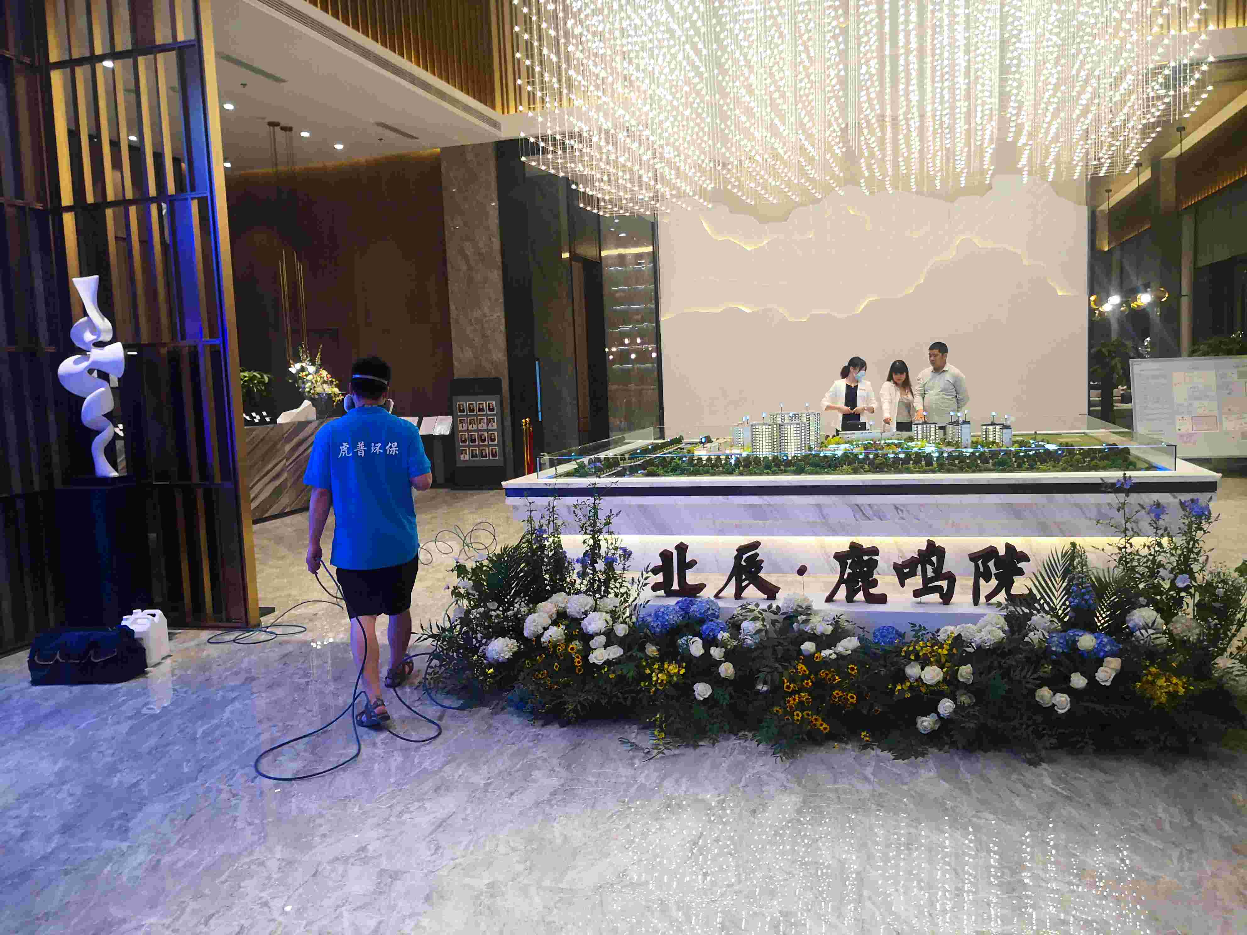 重庆除甲醛公司 重庆除甲醛公司